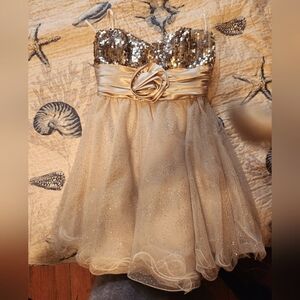 Prom/homecoming dress